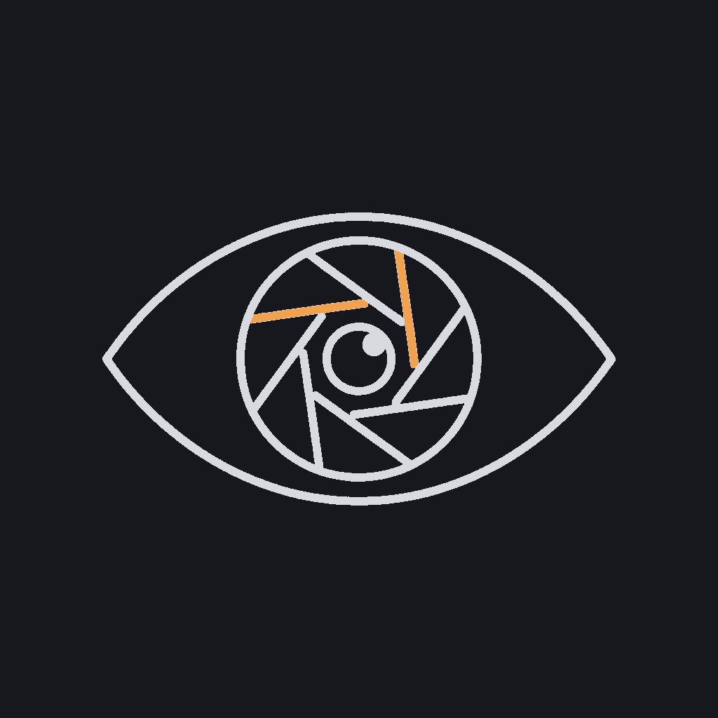 minimal line icon of an eye overlaid with a camera aperture ring